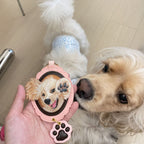 Handgemachte Personalisierte Haustier-Ledergravur mit Spitzenmuster | Personalisierter Katzen- & Hunde-Schlüsselanhänger